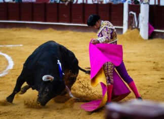 El Fandi regresa a La Malagueta para ofrecer este domingo una Clase Magistral