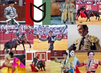 Estos son los premiados de la Gala de la Tauromaquia de Málaga 2024