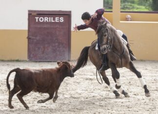 La saga de rejoneadores malagueños tiene continuidad