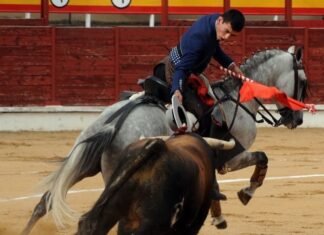 El rejoneador Francisco Martín cambia de rumbo para 2025