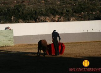 Tentadero con Emilio de Justo en la ganadería de Manuel Blázquez (galería)