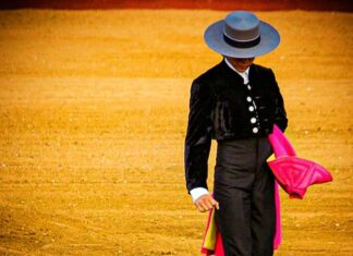 Julio Alguiar retoma su sueño en un festival de lujo en Perú