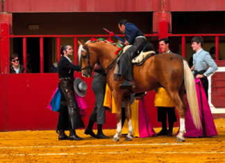 Dos orejas a Ferrer Martín y ovación a Javier Conde en el festival por los afectados de la DANA en Vall D´Alba
