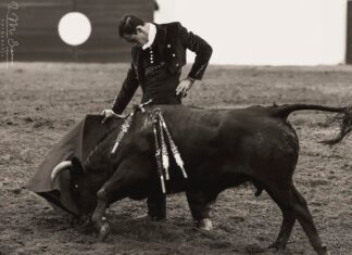 El inicio portugués de la campaña más esperada de Fortes, en imágenes
