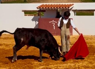 Tentadero de machos con Santana Claros en La Condesa