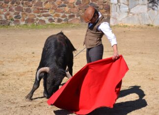 Tributo al maestro Antonio José Galán el 28 de febrero en su finca con su hijo David y Fortes