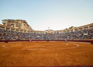 Entradas desde 5 euros para ver la novillada del Circuito de Andalucía en Marbella