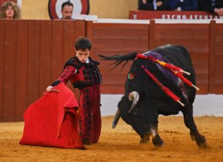 Ignacio Candelas suma nuevos compromisos sin el Circuito de Andalucía