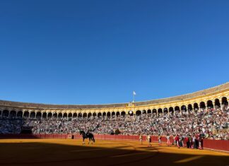 Toros con la Luna organiza una excursión benéfica al Domingo de Resurrección sevillano