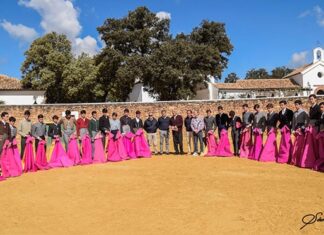 Las escuelas de la provincia de Málaga contarán con dos representantes en el XXXI Ciclo Andaluz