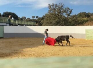 El antequerano Pepe Martín debuta este domingo en público en el Ciclo de Becerradas