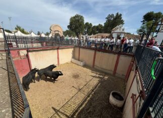 Orden de lidia y cuadrillas para la Corrida Mixta de la Feria de Primavera de Antequera