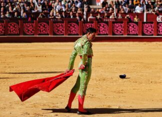 Mañana se oficializarán unos carteles de Feria de Málaga 2025 en los que Fortes estoqueará cinco toros en dos tardes