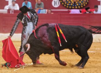 Buena imagen de Fortes en Torrejón ante dos de Valdefresno de escasas posibilidades
