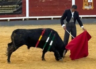 Dos orejas para Javier Conde en el Festival de Navas de San Juan