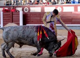 Fortes sustituirá este lunes a Marco Pérez en Torrejón