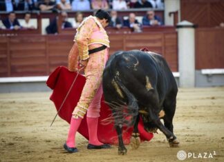 Fortes entra en la Champions del Toreo de Cuenca (agenda actualizada)