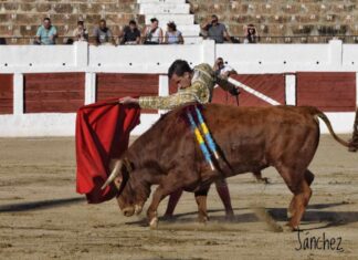 Los novillos de Martín Lorca desarrollaron clase y bravura en Linares