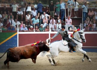 Ferrer Martín suma de dos en dos en Algodonales