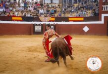 Tarde de triunfos en la novillada sin picadores de Cortes de la Frontera