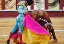 Morante de la Puebla tampoco podrá cumplir con su segundo paseíllo en la Feria de Málaga