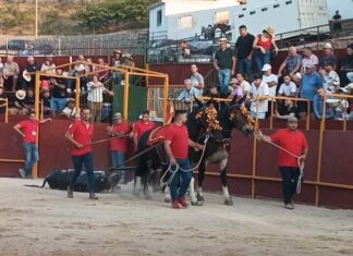 Tres vueltas al ruedo de cuatro novillos de La Condesa en Güejar Sierra
