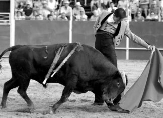 Pleno de Fortes en Navalmanzano