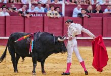 David de Miranda certifica su triunfo en la Feria de Málaga con la concesión del Capote de Paseo del Ayuntamiento