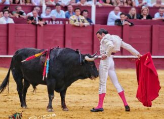 David de Miranda certifica su triunfo en la Feria de Málaga con la concesión del Capote de Paseo del Ayuntamiento