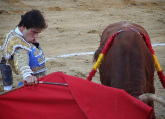 A Ignacio Candelas se le escapa el triunfo con la espada en Navas de San Juan
