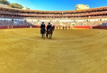 Daniel Luque por Morante de la Puebla este miércoles en Málaga