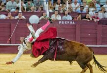 David de Miranda solicitó el alta tras descartar las pruebas radiológicas fracturas costales