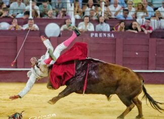 David de Miranda solicitó el alta tras descartar las pruebas radiológicas fracturas costales