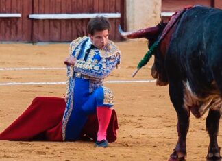 Ovación en su lote para Curro Márquez con la de Prieto de la Cal en Lodosa