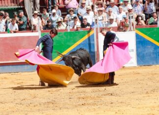 La Escuela Costa del Sol se estrena con llenazo en mañana triunfal en Coín (incluye galería)