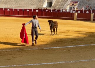 Los ‘benjamines’ abren plaza como prólogo al Certamen Internacional de La Malagueta