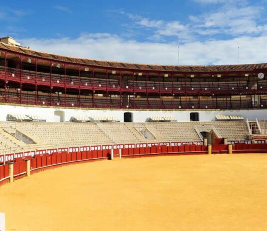 La Diputación de Málaga explica los motivos por los que no concede la prórroga a Lances de Futuro