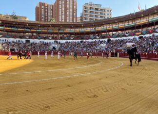 Ya conocemos a los tres finalistas del XVIII Certamen Internacional de La Malagueta