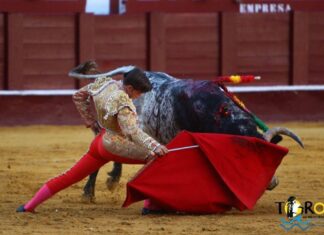 Curro Márquez pospone su alternativa por una lesión muscular