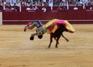 El novillero Daniel Artazos será intervenido de una grave fractura vertebral