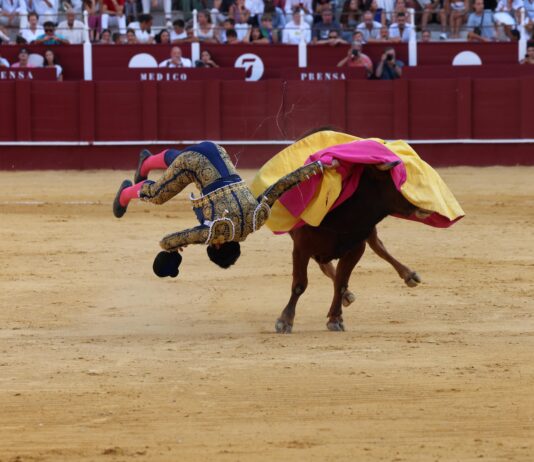 El novillero Daniel Artazos será intervenido de una grave fractura vertebral