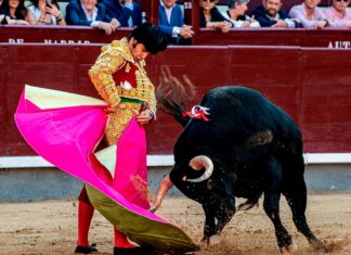 Lances de Futuro confirma la ausencia de Morante en su primer compromiso en La Malagueta