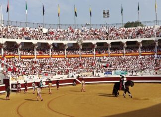 Tarde de silencios en Dax para un Fortes que ya regresa para Málaga