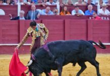 El ídolo Fortes da un paso más en su primera tarde en Málaga