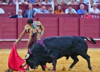 El ídolo Fortes da un paso más en su primera tarde en Málaga