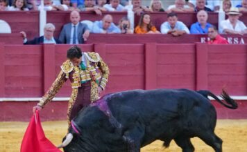 El ídolo Fortes da un paso más en su primera tarde en Málaga