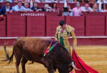 Emilio de Justo se cansa de ser el ‘segundón’ de Fortes en Málaga