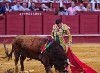 Emilio de Justo se cansa de ser el ‘segundón’ de Fortes en Málaga