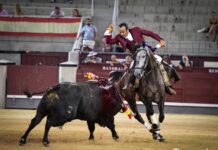 Vuelta al ruedo de Ferrer Martín en su confirmación en Madrid