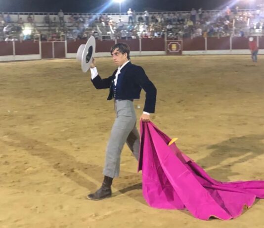 Noche de viernes con toros en la Axarquía
